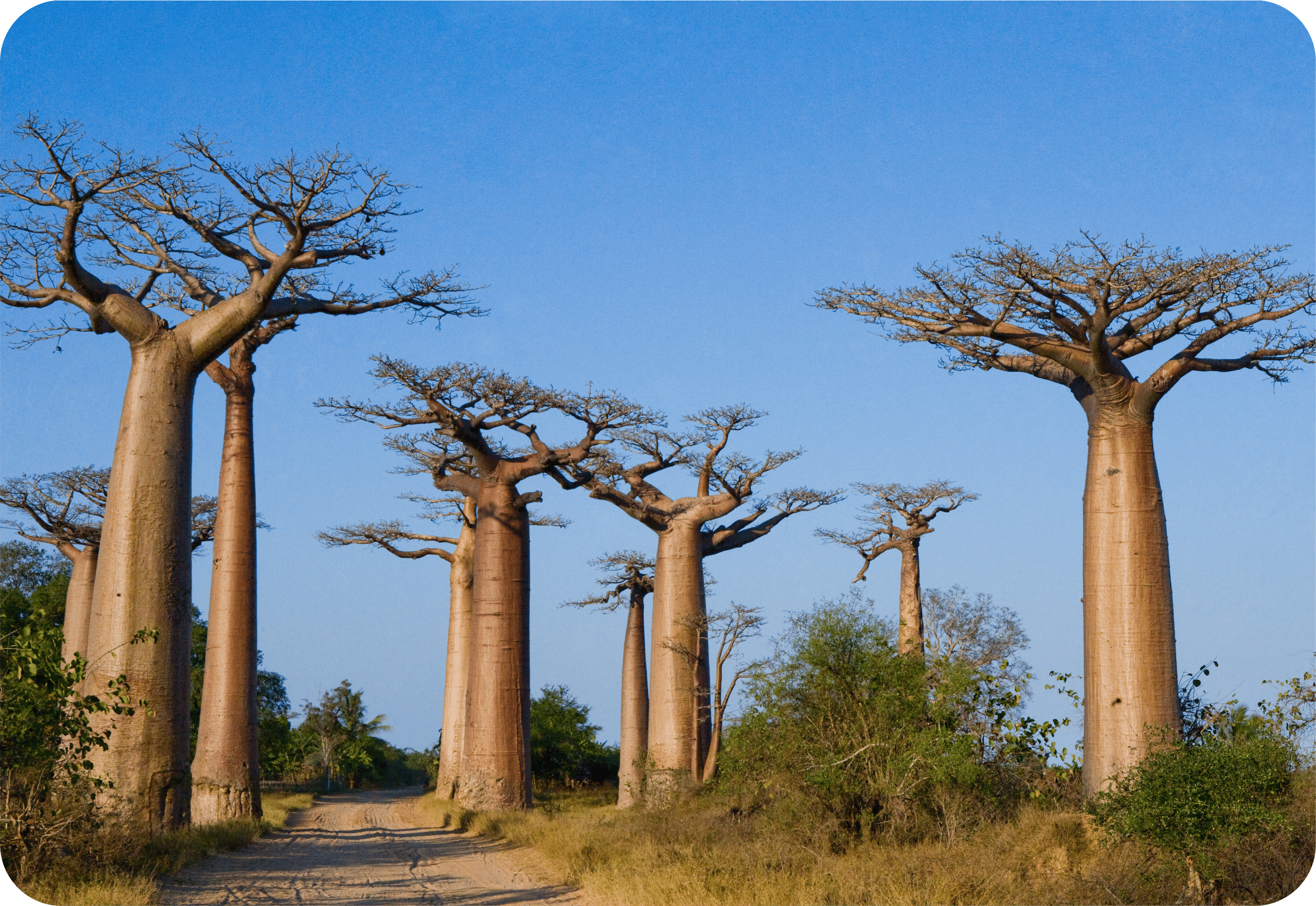 Madagascar Visa