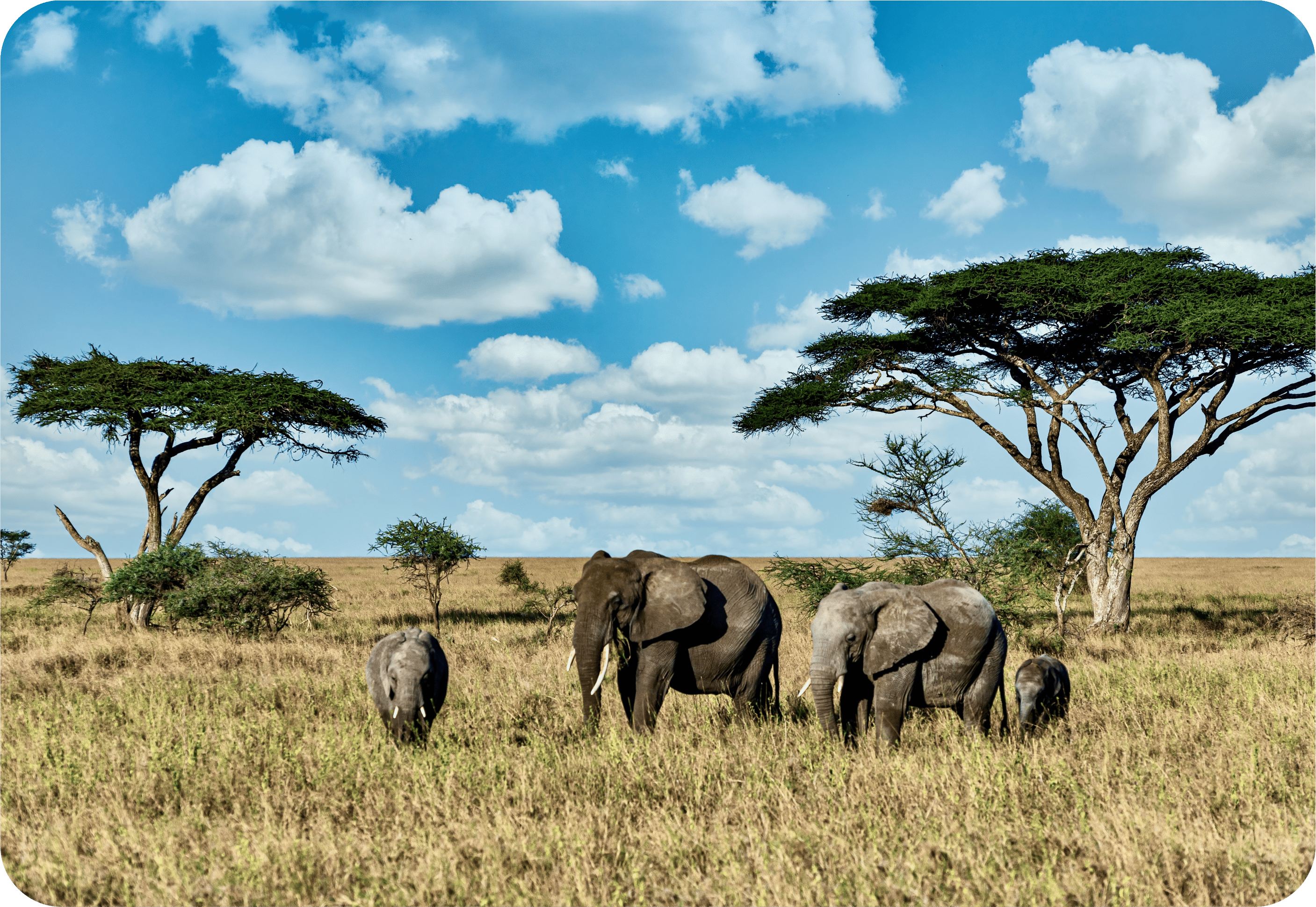 Tanzania Visa